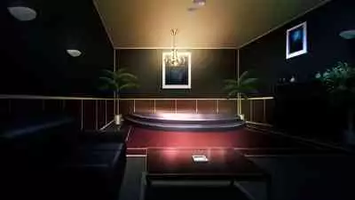 女潜入捜査官の変態痴育 ~娼婦のように乱れる八雲~