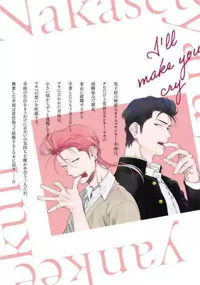 [Hiiragi Nozomu] Nakasete Yaru yo Yankee-kun | 让你哭噢小混混 番外 [Chinese] [Digital]