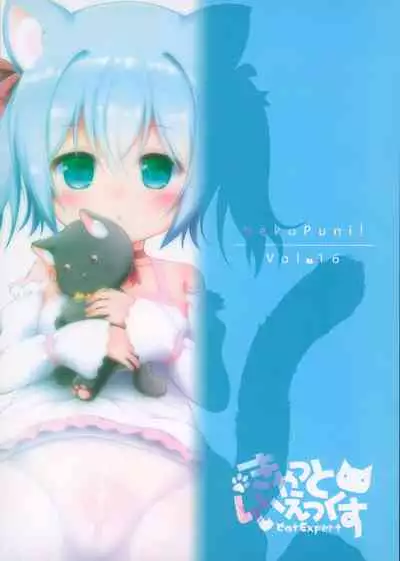 (C97) [Cat Expert (Nekousa)] Neko Puni! vol.16 [Chinese] [无毒汉化组]