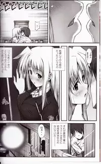 (C81) [IV VA SHIN (Mikuni Mizuki)] Home Sweet Home ~Fate hen 2~ (Mahou Shoujo Lyrical Nanoha)