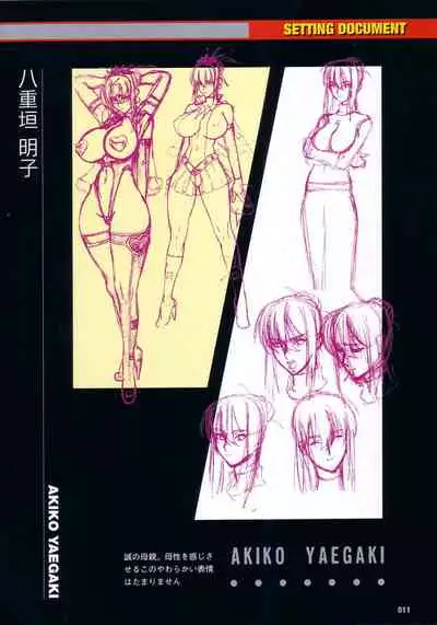 [Colors] Thunder Claps! Visual Fan Book + Trading Card Art