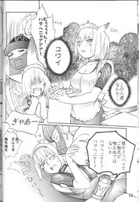 (C70) [Robina go round (Robina)] Hurihuri Mithra! (Final Fantasy XI)