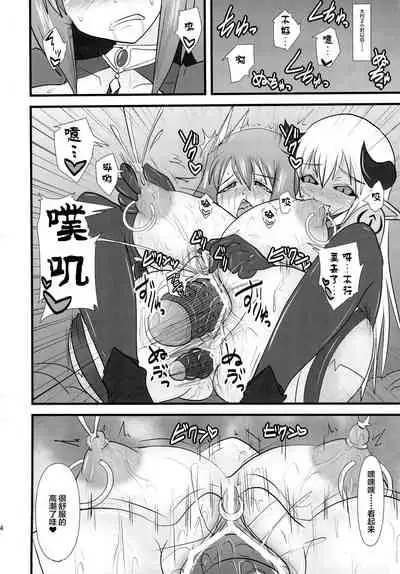 Shield Knight Elsain Vol. 13 Succubus Flirtation