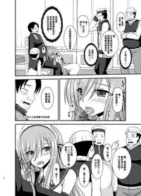 [valssu (Charu)] Melon ga Chou Shindou! R14 (Tales of the Abyss) [Chinese] [流星汉化] [Digital]