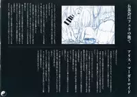 (C86) [Chroma of Wall (saitom)] Gensoukyou Inkou Kirokushuu (Touhou Project)