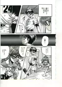 [Appleton] Fairy Paradise