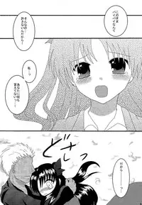 (C72) [FavoriteS (Yorarry)] Gensou Ichiya (Fate/stay night)