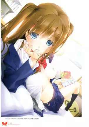 八宝備仁画集 紅蝶(ほてり)