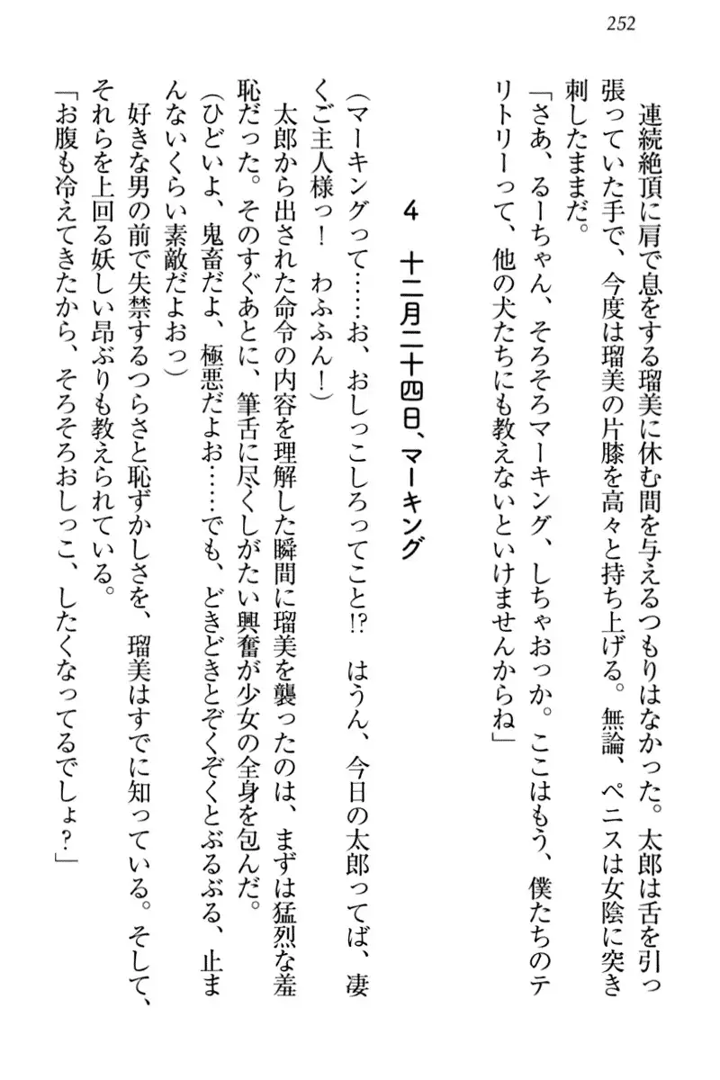 Boku to Ruu Senpai no Houkago Choukyou Nisshi - Kyou mo Watashi o Shitsukenasai!