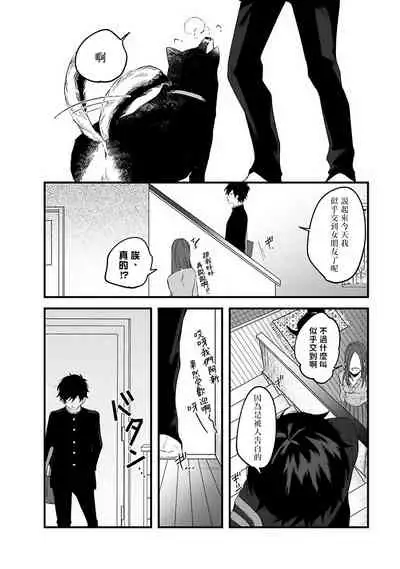 Pink Neon Spending 1-4