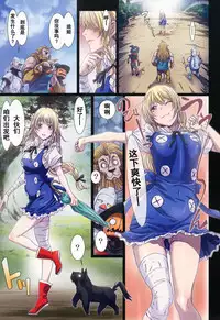 (C88) [STUDIO PAL (Nanno Koto)] Other Zone 5 ~Nishi no Majo~ (Wizard of Oz) [Chinese] [坏人卡]