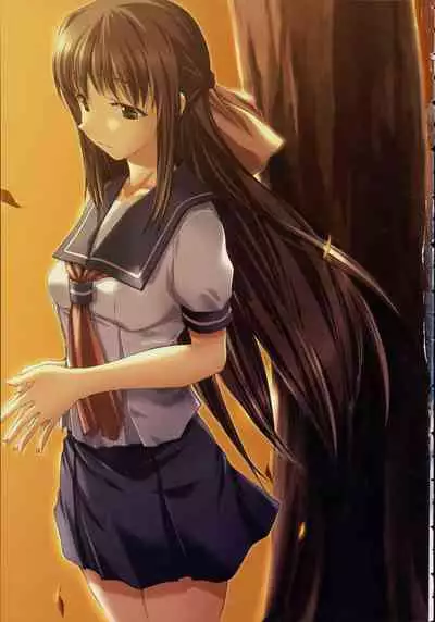 Shin Ringetsu Visual Fanbook