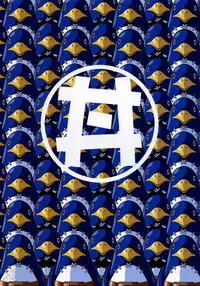 (C65) [Studio Katsudon (Manabe Jouji)] Disgaea Makai Oujo (Makai Senki Disgaea) [English] [SaHa]