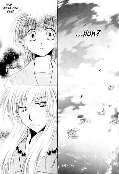 (C70) [Sakurakan (Seriou Sakura)] Ryuusei Ryodan | Falling Star Brigade (Inuyasha) [English] [EHCove + WataTL]