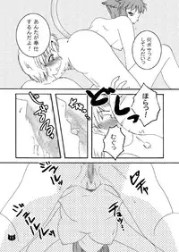 (SC35) [True-Bell (Nekono Lonmiy)] Wild Cat (Final Fantasy XI)