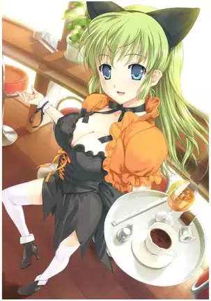 八宝備仁画集 紅蝶(ほてり)