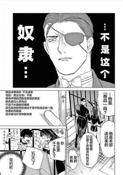 TOKYO Hikari Auction|东京光之拍卖会