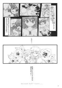 (C78) [LeimkissA (Nekohane Ryou)] Kouhaku Tenchuu (Touhou Project)