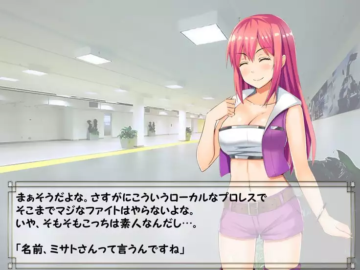 ドMプロレス2 画像集