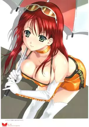 八宝備仁画集 紅蝶(ほてり)