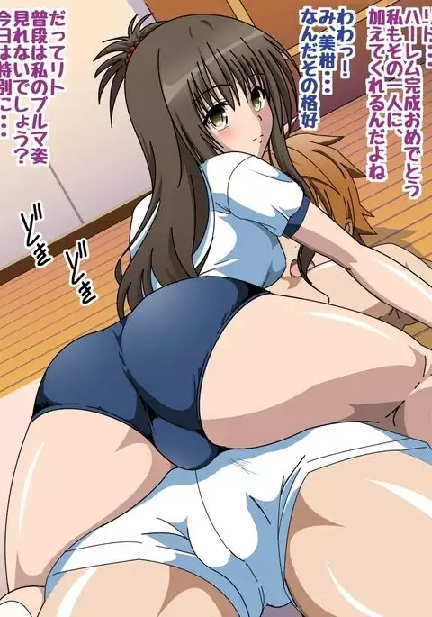 Conclusion ○ CG collection to be Happy with Love Love II ~ Container Harem Project ~