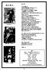 (C73) [Ohkura Bekkan (Ohkura Kazuya)] Haitoku no Yutaka ~ Ayane to Kokoro ~ (Dead or Alive) [English]