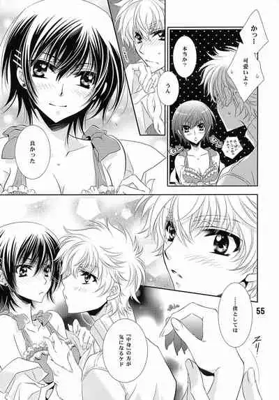 (C79) [Anmitsu (Various)] Feliz Coumpleanos (CODE GEASS: Lelouch of the Rebellion)