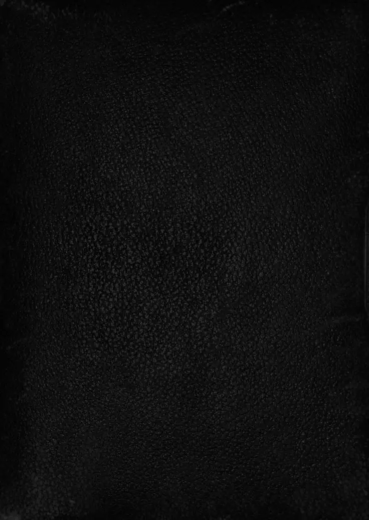 Isekai Harem Monogatari 4 ~Gouka Kenran!? Oushitsu Oyakodon!~