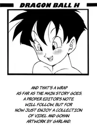 Dragon Ball H - Gohan & Videl [Rehabilitation (Garland)] [English] [Rewrite] [MEMOz]