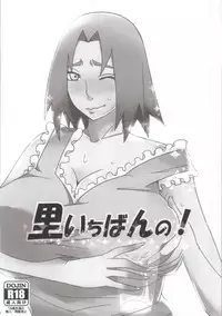 (C86) [Pucchu (Echigawa Ryuuka)] Shinobi no Kokoroe (NARUTO)