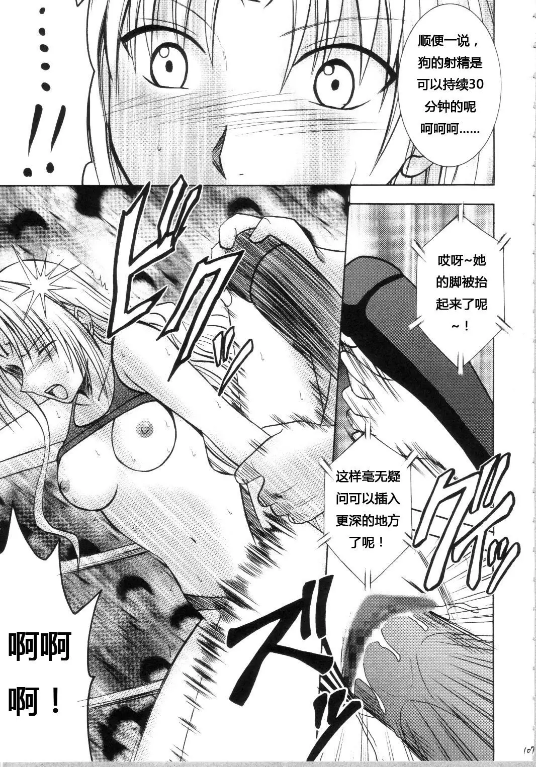 Sephiria Hard Soushuuhen