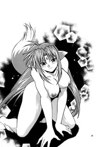 (SC34) [Studio Katsudon (Manabe Jouji)] Kemonotachi no Bansan (Mahou Shoujo Lyrical Nanoha) [English]