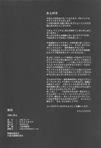 (C95) [Goromenz (Yasui Riosuke)] Karen ni Chiru (CODE GEASS: Lelouch of the Rebellion)