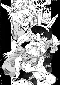 (C55) [Ganso Sonoda Ya (Kenichi Sonoda and others)] Chousen Ame Ver. 14