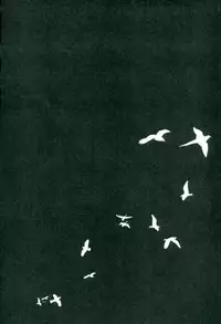 [菜花ばたけ,Marron (菜花,ノリ松)] Bondage (おそ松さん)