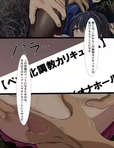 Curriculum for complete enslavement of student body president