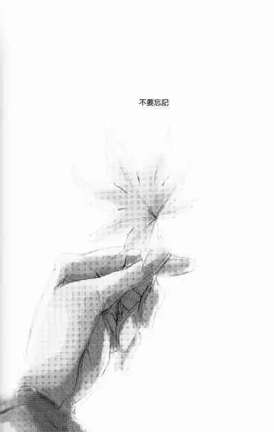 RAGDOLL | 破碎玩偶