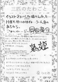 (C50) [Okazu Club (Mita Ryuusuke, Aoi Hitomi, Onihime)] Shin Sanbiki ga Kill!! (Samurai Spirits)