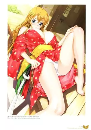 八宝備仁画集 紅蝶(ほてり)