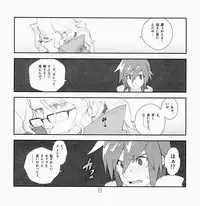 [Article 60 of Criminal Code (Shuhan)] Yojouhan Seikatsu. 2009 Harugou (Skies of Arcadia)