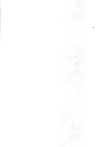 (C92) [matine (iyutani)] Melt (Magic Knight Rayearth)