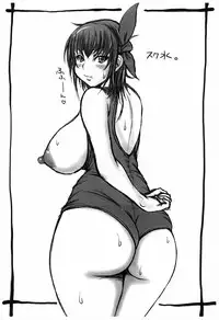 (C87) [Breakin'Bakery (Sakaki Utamaru)] Breakin' Rakugakichou 2014 (Dead or Alive)