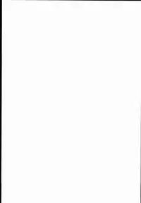 (C89) [LemonMaiden (Aoi Masami)] Kyuusei Maryoku Chuudoku 2 (Fate/kaleid liner Prisma Illya) [Chinese] [MEGA巨莖怪漢化]