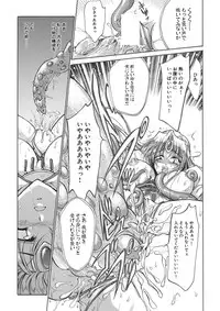 聖王妃 エルレイン(田宮秋人) Princess St
