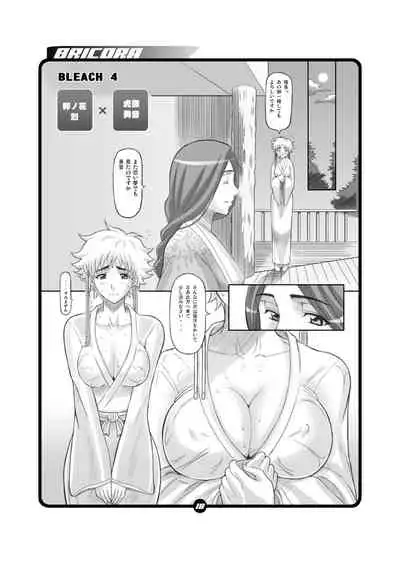 [Diogenes Club (Haikawa Hemlen)] BRICOLA (Bleach) [Digital]