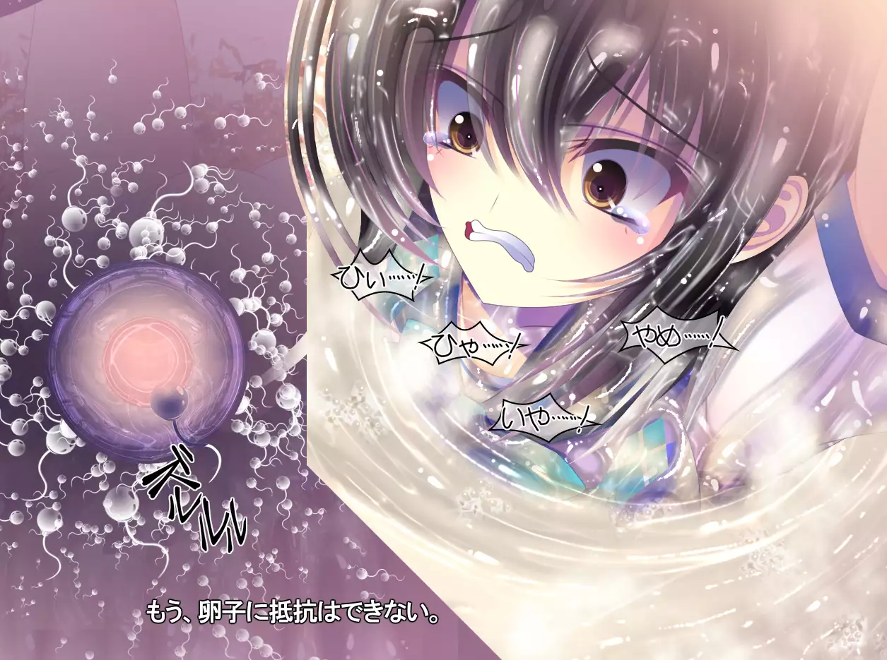 yabure, bakunyu chochichi naedoko ni, benki ni Daraku To sa reru hiroin!~ Hime ￮ setsuna ~