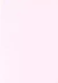 (C61) [RST Slave (Ebina Souichi)] Kasumi Hard Love 2 ver. 1 (Dead or Alive)