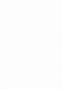 (C86) [Yadokugaeru (Locon)] Kaname 04 [Chinese] [刷牙子X月影姬 汉化]