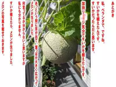 [Netorare Masochist] Nyotaika NTR Maso no Monogatari [Chinese] [有条色狼汉化]