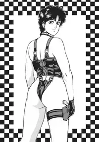 (C66) [Rippadou (Ankokudou Shinkaigyo)] City Hunter Collection (City Hunter)